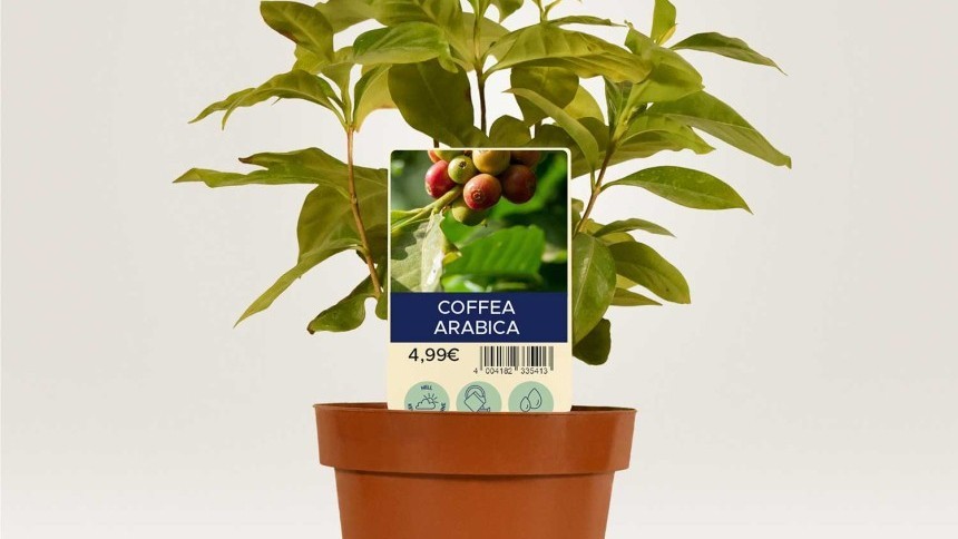Plant tags main