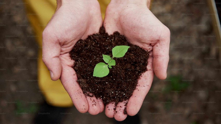 Sustainability