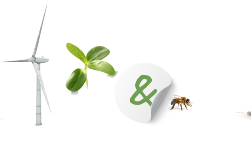 A composite image displaying a series of items in a row: a man standing, a wind turbine, a green plant sprout, a white sticker with a green ampersand, a bee, and a young girl sitting on the ground.