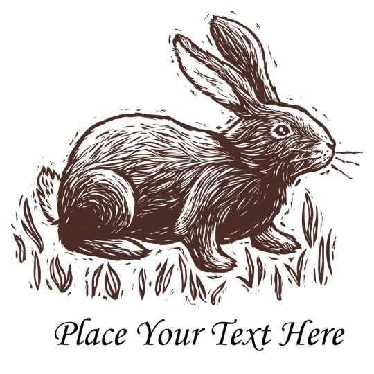 Vintage Bunny
