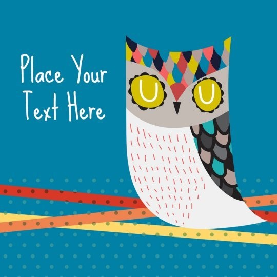 Studious Owl