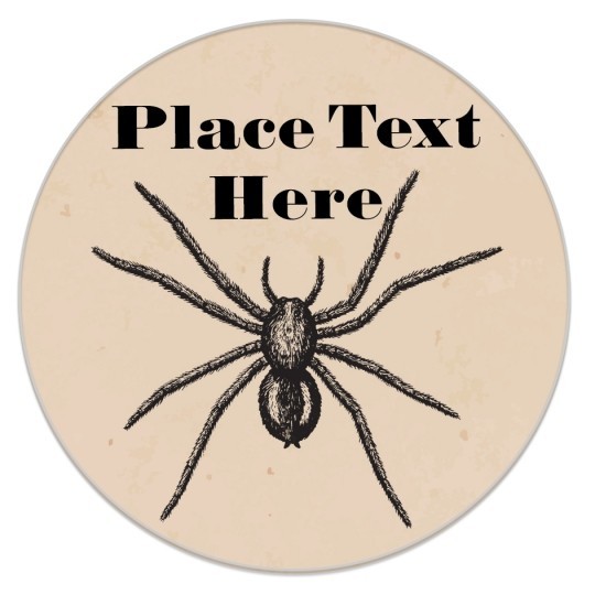 Vintage Spider
