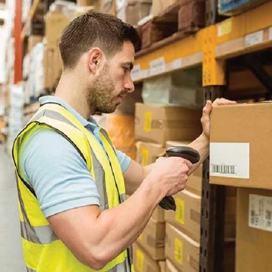 Courier and Logistics Labels