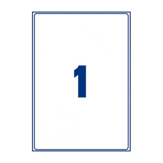 Antimicrobial Film A3 Labels | AM001A3-10 | Avery