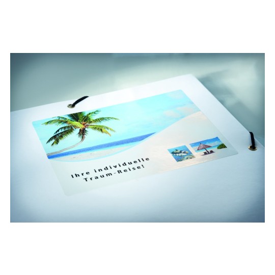 Glossy labels | C6081-10 | Avery